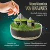 Clementoni Clementoni Harry Potter - Terrarium 19248 Podgląd zdjęcia produktu 9