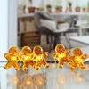 Apt Vánoční Osvětlení Dort 2M 20Led Náhled obrázku produktu 2