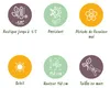 Green boutiQ - Plante sur tige - Rosmarinus officinalis - Voir les images du produit 9