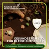 Terrarienerde 20L – Bodengrund für Terrarien Produktbild-Vorschau 3