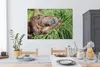 OneMillionCanvasses® - Leinwandbilder - 140x90 cm, Affe - Produktbild-Vorschau 5