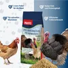 PANTO HMK/PMK Hähnchen- und Putenmastkorn 25kg - Produktbild-Vorschau 2