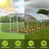 Pollaio Izrielar 3x6x2 m con tetto a cupola, recinto Anteprima dell’immagine prodotto 3