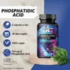 Phosphatidic Acid 750mg per Daily Dose - 60 Vegan Capsules Produktbild-Vorschau 4