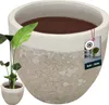 KOTARBAU® Vaso da fiori Altezza 31 cm ⌀ 37 cm Vaso da fiori Anteprima dell’immagine prodotto 1