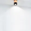 A single ceiling light fixture is mounted on a white ceiling. Podgląd zdjęcia produktu