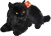 ANEK, Zwarte kat, SmilyPlay, 85135, 34746 Productafbeelding-voorbeeld 1