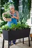 A woman is tending to a raised garden bed filled with plants. Voir les images du produit