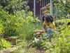 Gardena GartenschereExpertCutAktion Produktbild-Vorschau 3