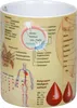 Könitz Wissensbecher Becher Medizin, Kaffeebecher, Anteprima dell’immagine prodotto 3