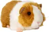 A plush toy guinea pig on a white background. Produktbild-Vorschau