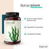 Algenöl Kapseln 1000 mg Omega-3 vegan Elpixol 60 St Produktbild-Vorschau 8