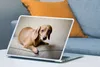 MuchoWow® Laptop Aufkleber Sticker Cover Ein brauner Dackel Produktbild-Vorschau 4