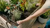 Gardena Micro-Drip-System Set Hochbeet/Beet (35 Pflanzen) Produktbild-Vorschau 22
