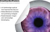 MuchoWow® Produktbild-Vorschau 4