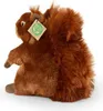 Peluche écureuil 21 cm ECO-FRIENDLY Voir les images du produit 8