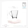 PLATINUX Kaffeegläser mit Griff Set 6-Teilig 320ml (max. Produktbild-Vorschau 4