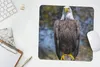 MuchoWow® Mauspad Mousepad Ein Weißkopfseeadler sitzt auf Produktbild-Vorschau 5