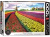 Puzzle 1000 Tulip Fields Netherlands 6000-5326 Náhľad obrázku produktu 5