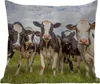 MuchoWow® Outdoor Kissen - Kühe - Weide - Tiere - Natur - Produktbild-Vorschau 1