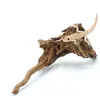 BioRain Roots Tropische Treibholzwurzel S 12-20cm Produktbild-Vorschau 4