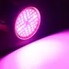 A close-up shot of a pink LED plant grow light emitting a bright pink light. Náhľad obrázku produktu