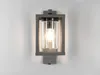 A modern outdoor wall lamp with a gray metal frame and a clear glass cylinder housing a light bulb. Anteprima dell’immagine prodotto
