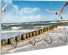 Wallario Handtuchhalter aus Glas, Motiv: Fliegende Möwe am Produktbild-Vorschau 1
