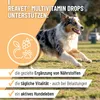 REAVET Multivitamin Drops für Hunde 350g (140 Stück) – mit Produktbild-Vorschau 2