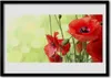 Bild 100x70 MDF-Rahmen Wandkunst Poppies Blumen Natur Produktbild-Vorschau 1