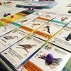 Asmodee Wingspan European Expansion, Brettspiel, 14 Produktbild-Vorschau 2