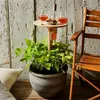 Welikera Weinregal Outdoor Klappbar Weintisch, Holz Produktbild-Vorschau 6