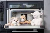 Habibi Plush Classic Wärmetier Wärmekissen Hase mit Hirse Produktbild-Vorschau 3