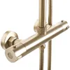 A close-up view of a gold-colored shower fixture with a thermostat control and a flexible hose. Produktbild-Vorschau