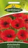 Quedlinburger Saatgut - Klatsch-Mohn Rot - Samen - 517595 Produktbild-Vorschau 4