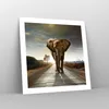 Poster - Poster ohne Rahmen - Elefant Straße Landschaft - Produktbild-Vorschau 7