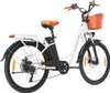 TTGO YY-26ST Vélo Électrique - Moteur 250W Batterie Voir les images du produit 4