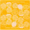 Kracht Frottier-Geschirrtuch Limoncello" 3er-Pack Produktbild-Vorschau 2