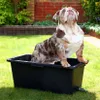 Prosper Plast Badewanne mit Ablaufventil für Hunde und Produktbild-Vorschau 5