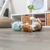 Trixie Hundespielzeug Junior Bär Produktbild-Vorschau 5