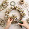 Mohn Kapseln getrocknet Extra groß im Bund Länge ca. 60cm | Produktbild-Vorschau 7