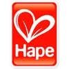 Hape Early Explorer Kleines Flugzeug, E0050 Produktbild-Vorschau 5