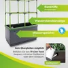BioGreen Hochbeet "City Jungle" mit Rankgitter L 62 x B 33 Produktbild-Vorschau 4
