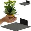 Hands holding a potted plant above a black shelf. Produktbild-Vorschau
