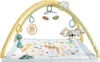 Fisher-Price Spielmatte Plastik Produktbild-Vorschau 11