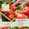 Tomatenzaden (Saint Pierre, 10 stuks) - Tomatenzaad van Productafbeelding-voorbeeld 2
