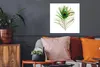 MuchoWow® Poster Pfauenfedern - Grün - Augen 50x50 cm - Produktbild-Vorschau 2