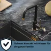 QUADRON Küchenarmatur NATALIE Q LINE SteelQ, Mischbatterie Produktbild-Vorschau 4