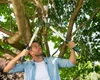 GARDENA Astschere EnergyCut 750 A Produktbild-Vorschau 17