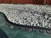80 m² (50m x 1,6m) Zielona Agrowłóknina Ogrodowa Przeciw Podgląd zdjęcia produktu 3